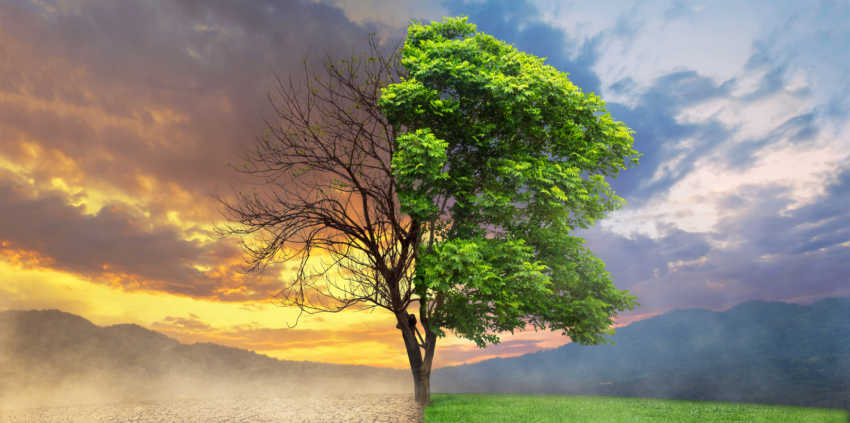 WAR ON THE TRUTH PART 2