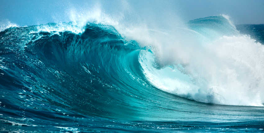 THE Grace Hub Directory